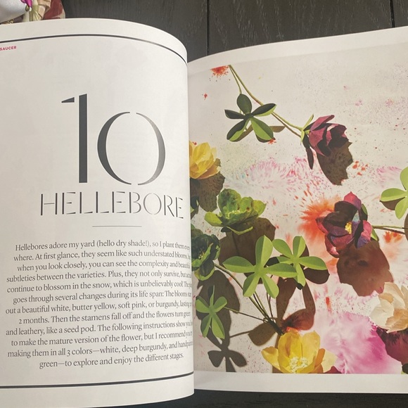 The exquisite book of paper flower transformations by artist Livia Cetti - Picture 6 of 9